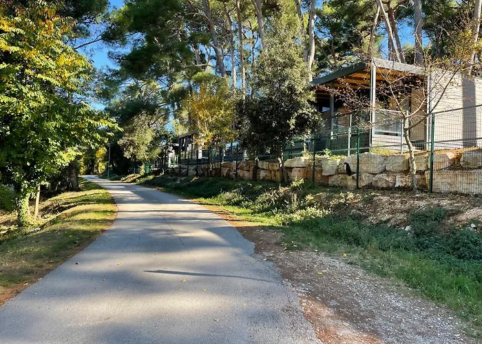 Rovinia Mobile * 로비니